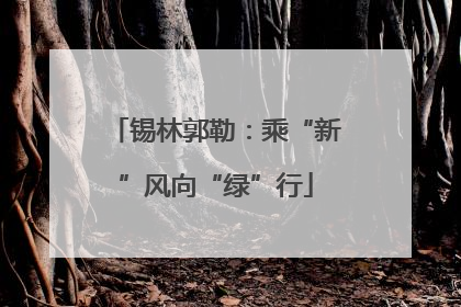 锡林郭勒：乘“新”风向“绿”行